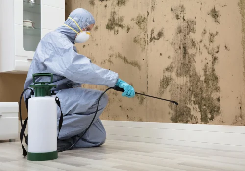 Mold Remediation