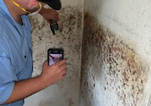 Mold Testing
