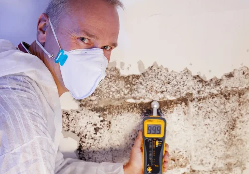 Mold Testing2