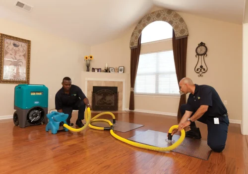 Water damage restoration-Omega Environmental2